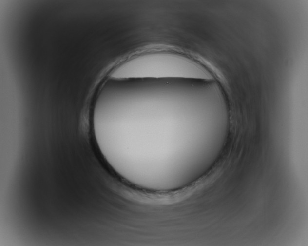 X0000100390015200806060843