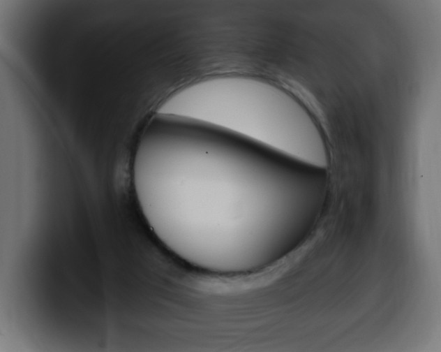 X0000100390017200806060843