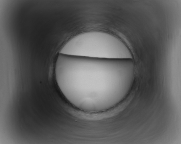 X0000100390018200806060843