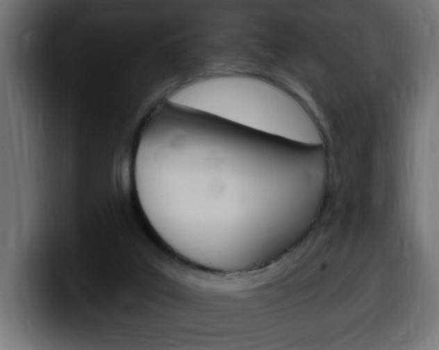 X0000100390019200806060843