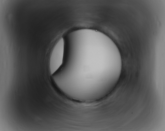 X0000100390020200806060843