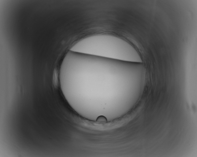 X0000100390022200806060843