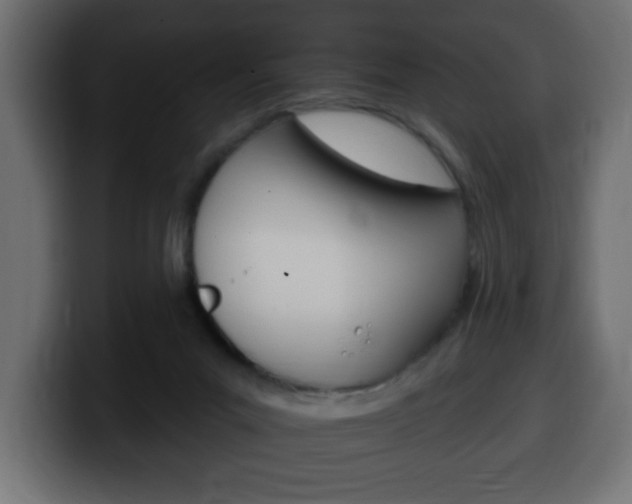 X0000100390023200806060843