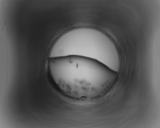 X0000100390024200806060843