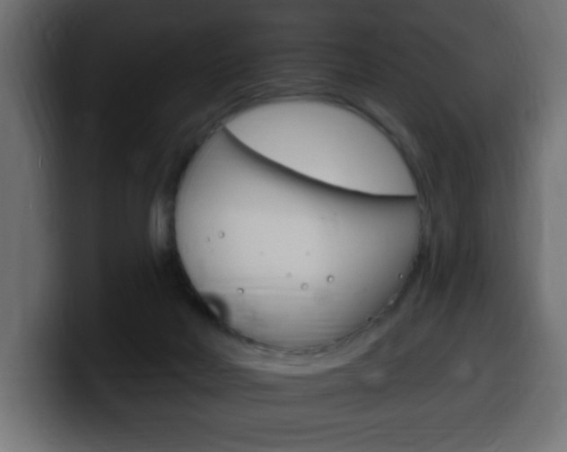 X0000100390026200806060843
