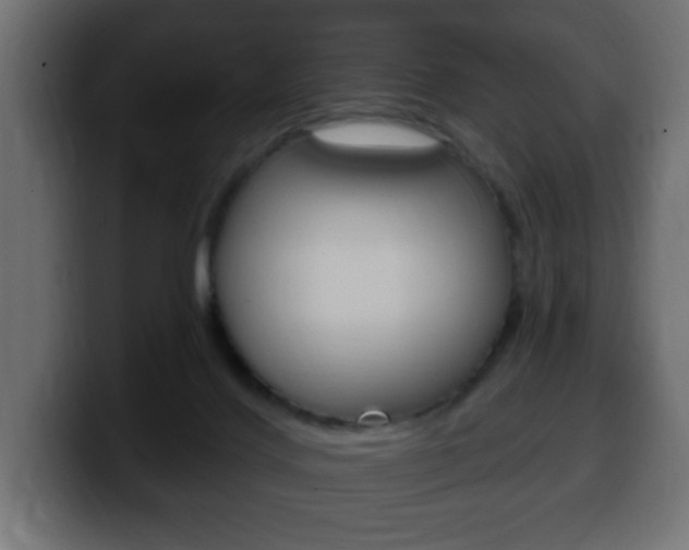 X0000100390028200806060843