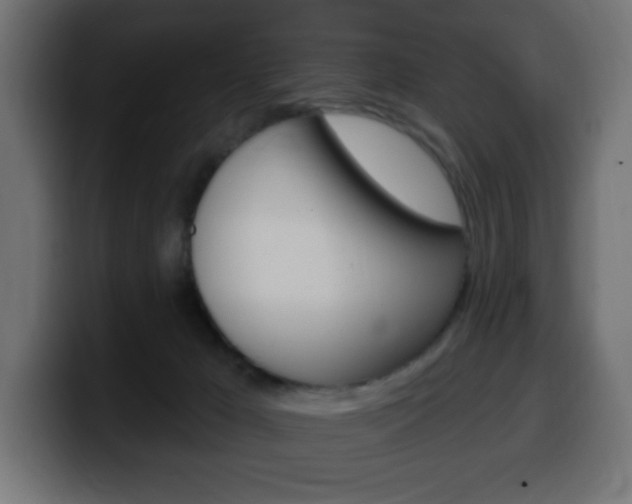 X0000100390029200806060843