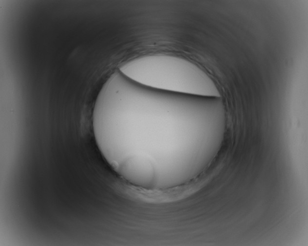 X0000100390030200806060843