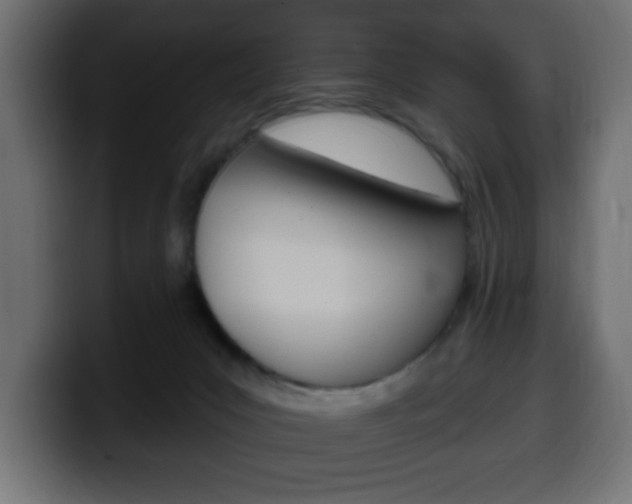 X0000100390031200806060843