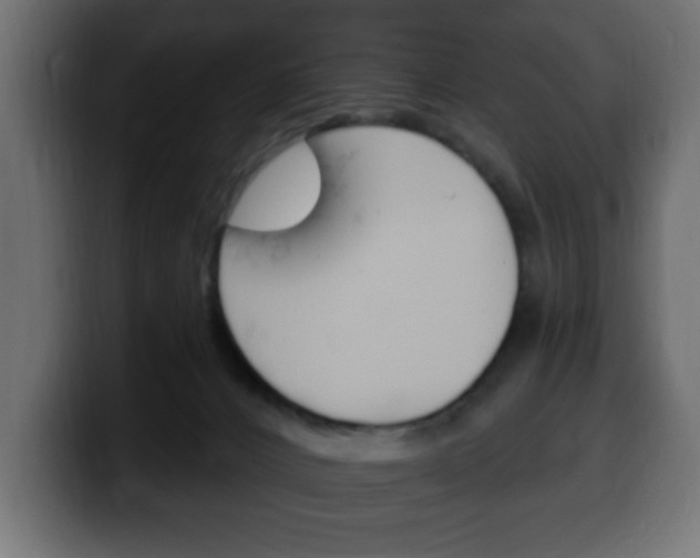 X0000100390032200806060843
