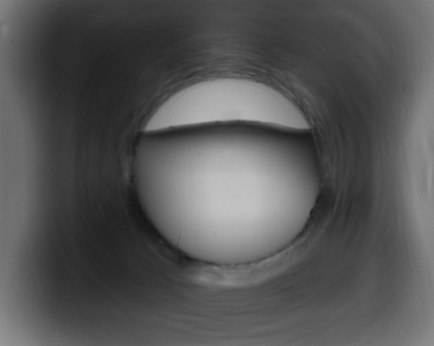 X0000100390033200806060843