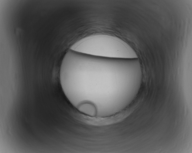 X0000100390034200806060843
