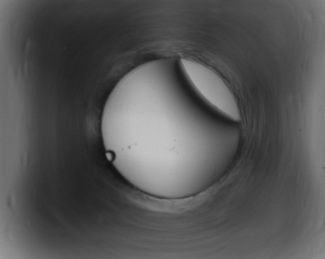 X0000100390035200806060843
