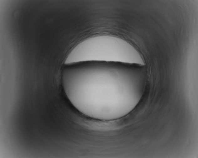 X0000100390036200806060843