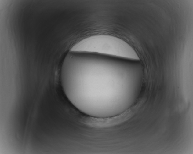X0000100390037200806060843