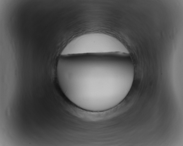X0000100390039200806060843