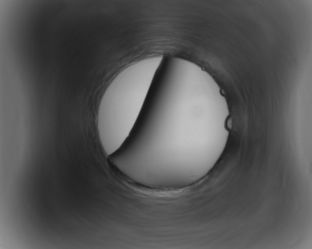 X0000100390040200806060843