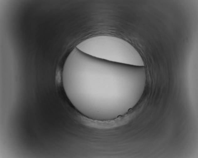 X0000100390042200806060842