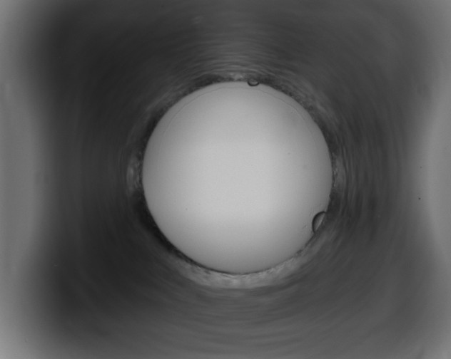 X0000100390043200806060842