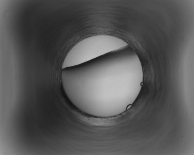 X0000100390044200806060842