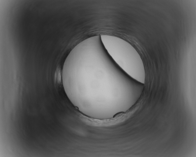 X0000100390046200806060842