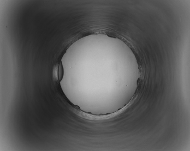 X0000100390047200806060842
