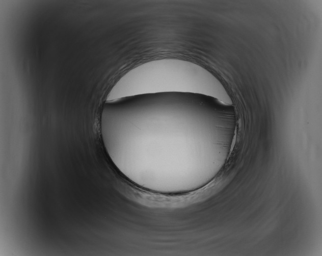 X0000100390048200806060842