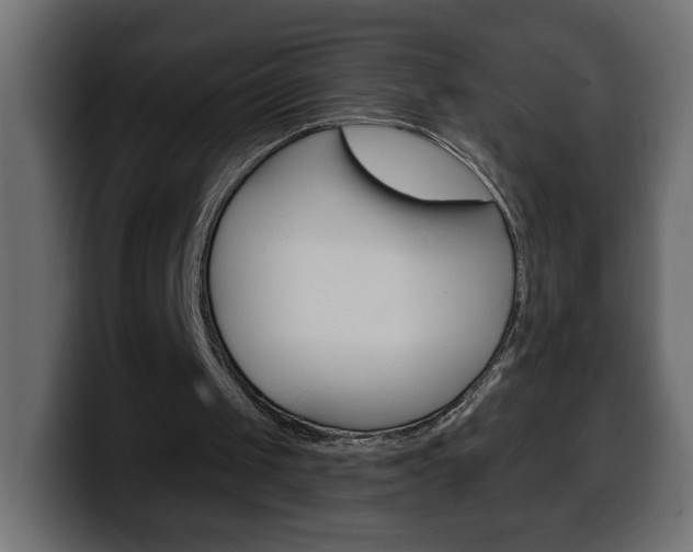 X0000100390049200806060842