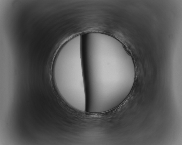X0000100390050200806060842