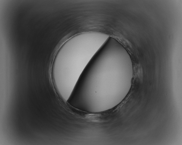 X0000100390051200806060842