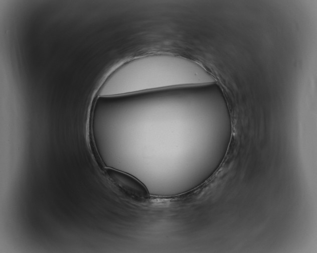 X0000100390052200806060842