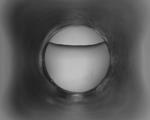X0000100390053200806060842