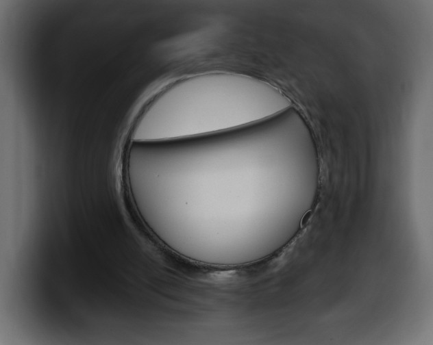 X0000100390054200806060842