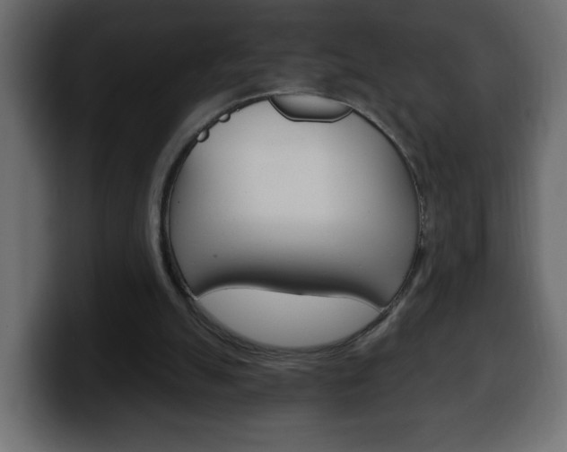 X0000100390055200806060842