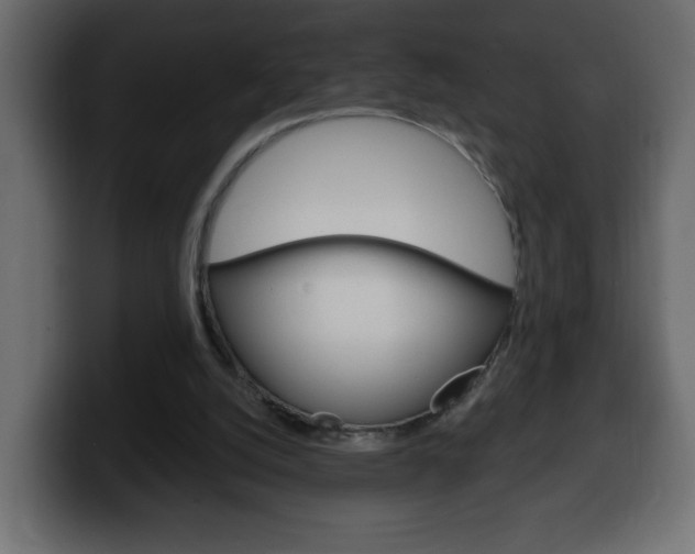 X0000100390056200806060842