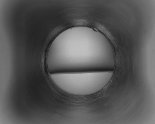 X0000100390058200806060842