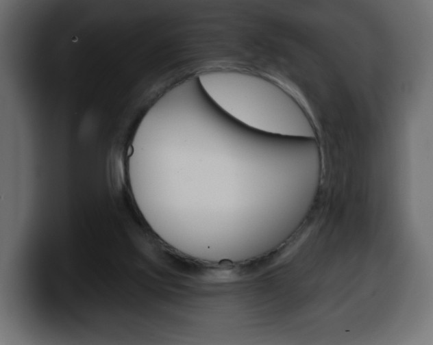 X0000100390061200806060842