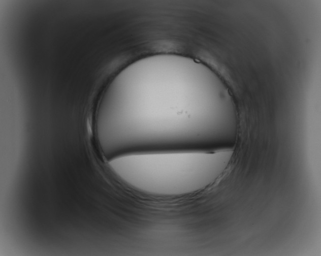 X0000100390062200806060842