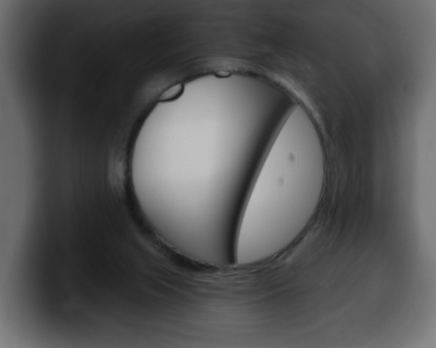X0000100390063200806060842
