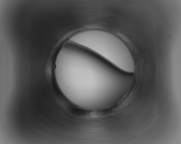 X0000100390064200806060842