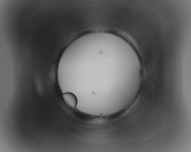 X0000100390065200806060842