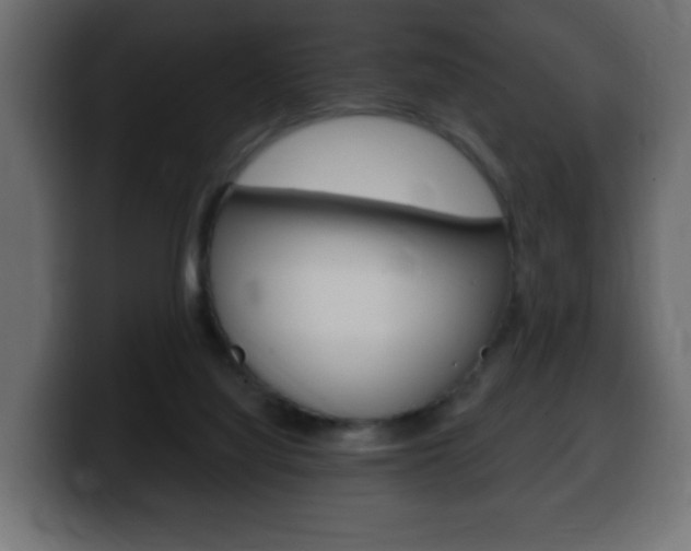 X0000100390068200806060842