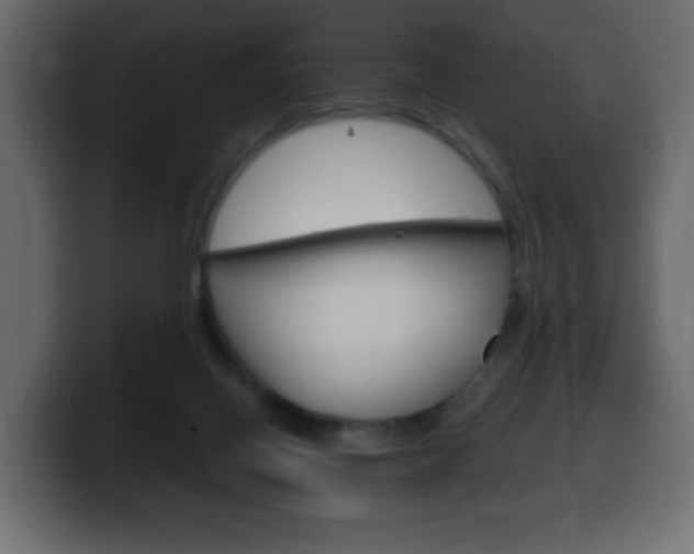 X0000100390070200806060842