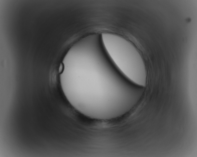 X0000100390071200806060842