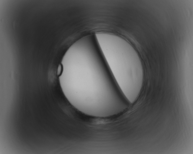 X0000100390073200806060842