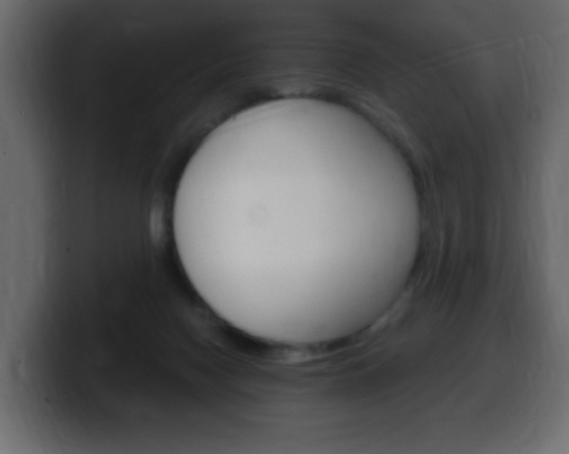 X0000100390074200806060842