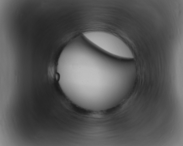 X0000100390076200806060842