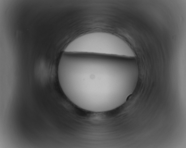 X0000100390077200806060842
