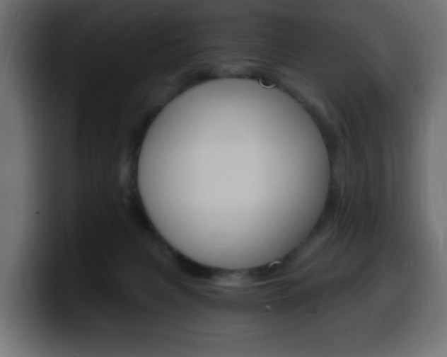 X0000100390079200806060842