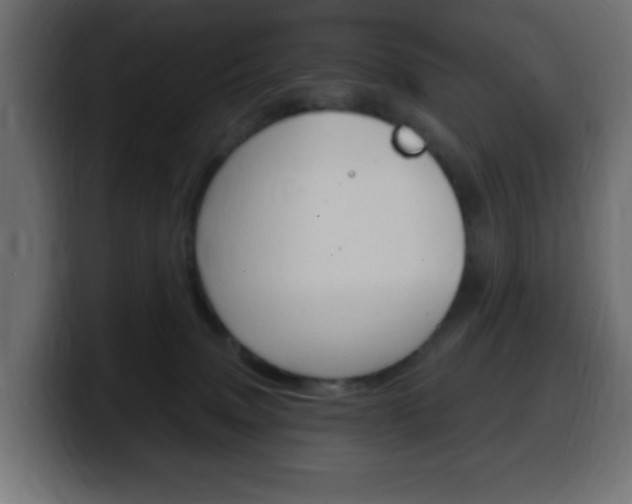 X0000100390083200806060842